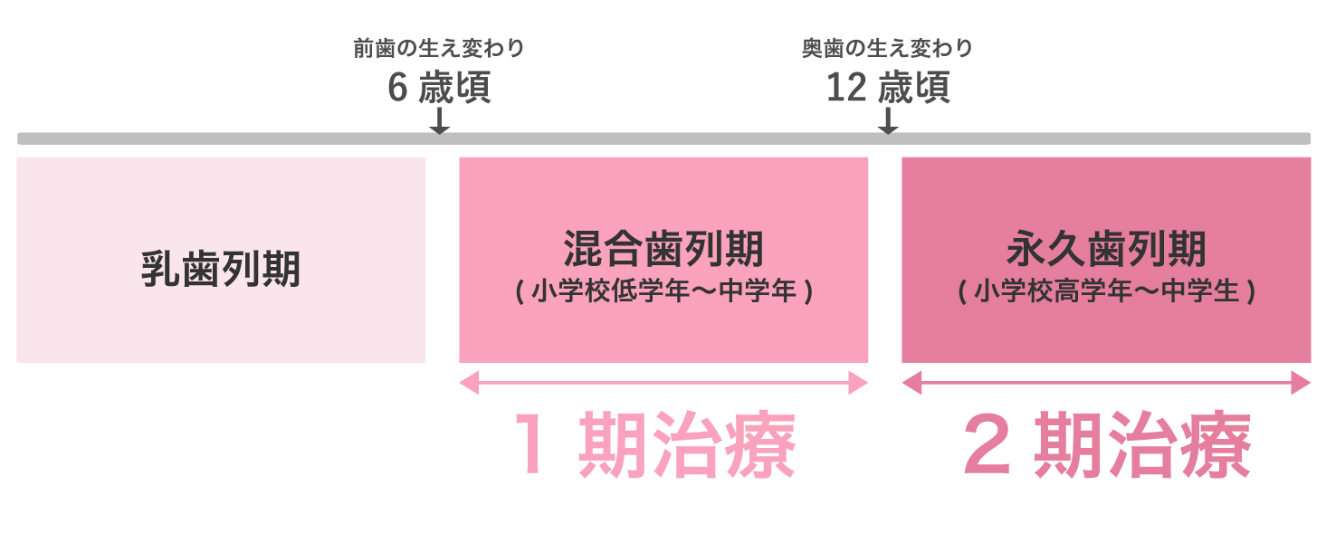 1期治療：混合歯列期（小学校低学年〜中学年）、2期治療：永久歯列期（小学校高学年〜中学生）