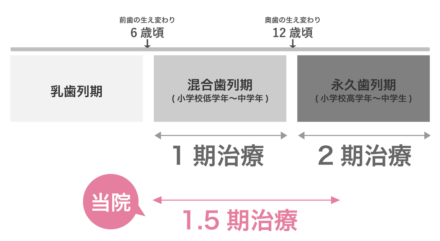 当院の1.5期治療は混合歯列期と永久歯列期の途中までの期間のイメージ